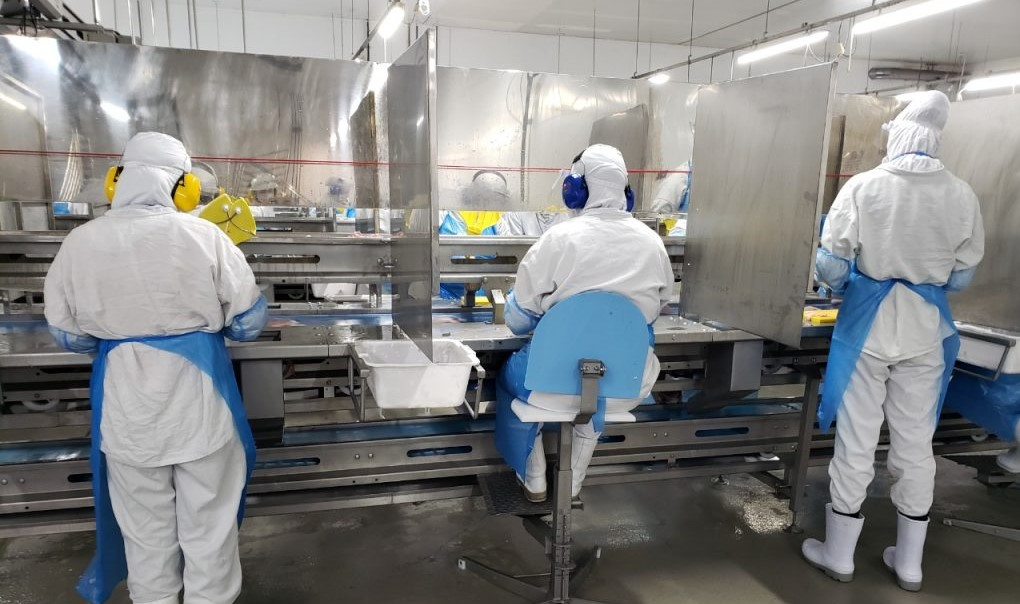 Em três meses, JBS investe mais de R$100 milhões em saúde e segurança do colaborador no Brasil