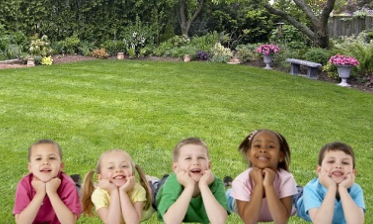 Instituições defendem fortalecimento da rede de proteção em Mato Grosso