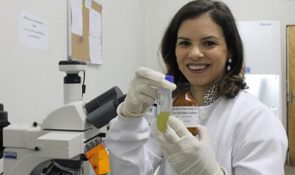 UFPB cria inseticida de sisal que mata mosquito da Dengue
