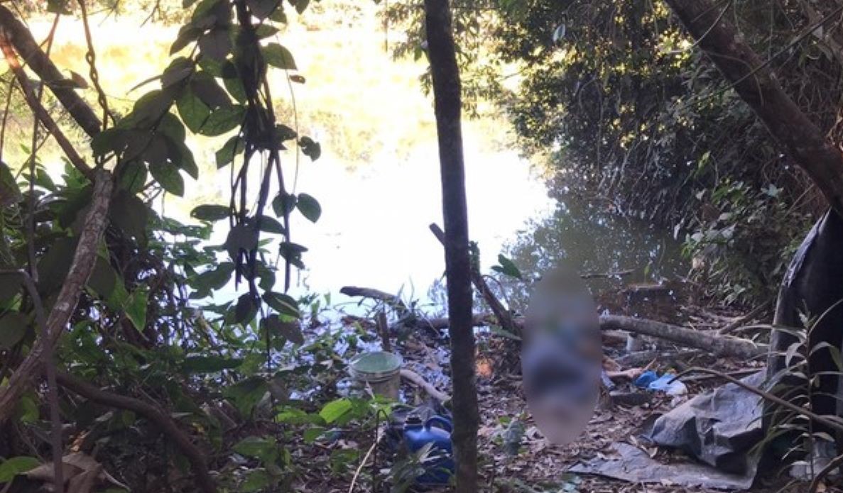 Sinop | Mulher morre às margens de lago ao ser picada por cobra