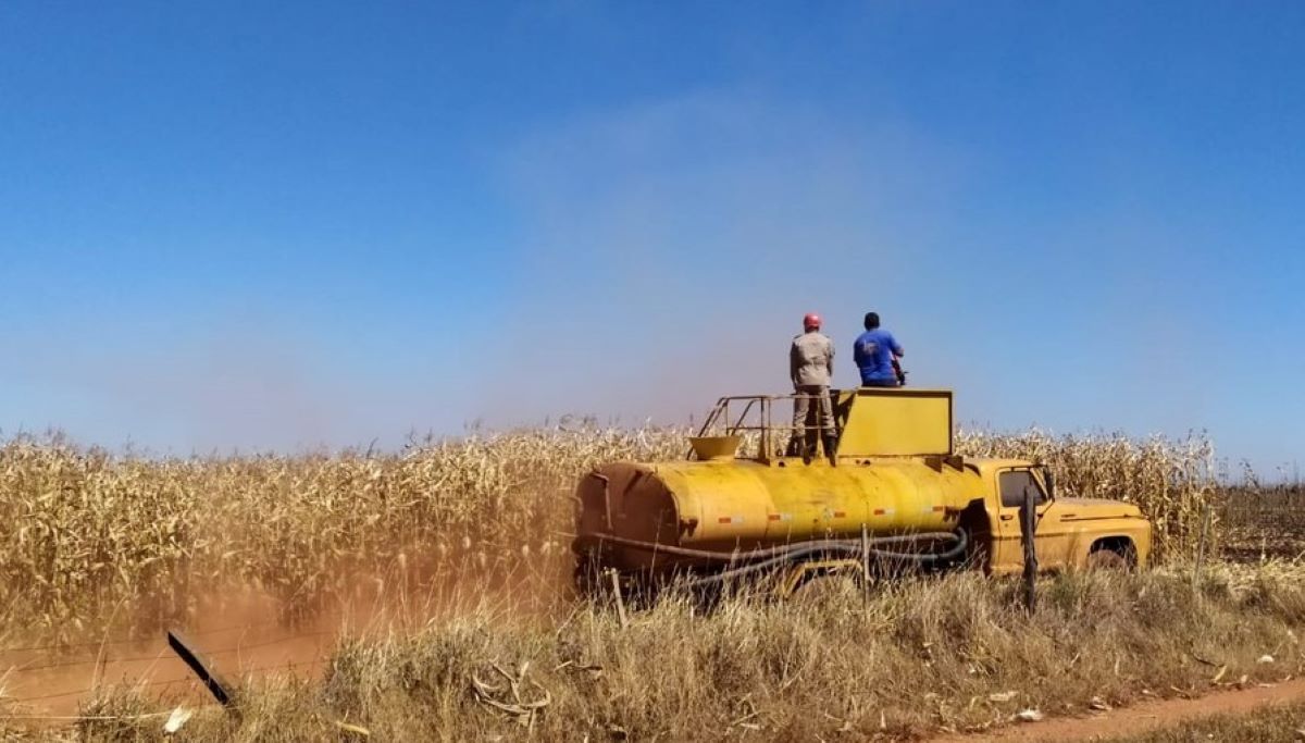 Bombeiros combatem incêndios em quatro fazendas em Campo Verde