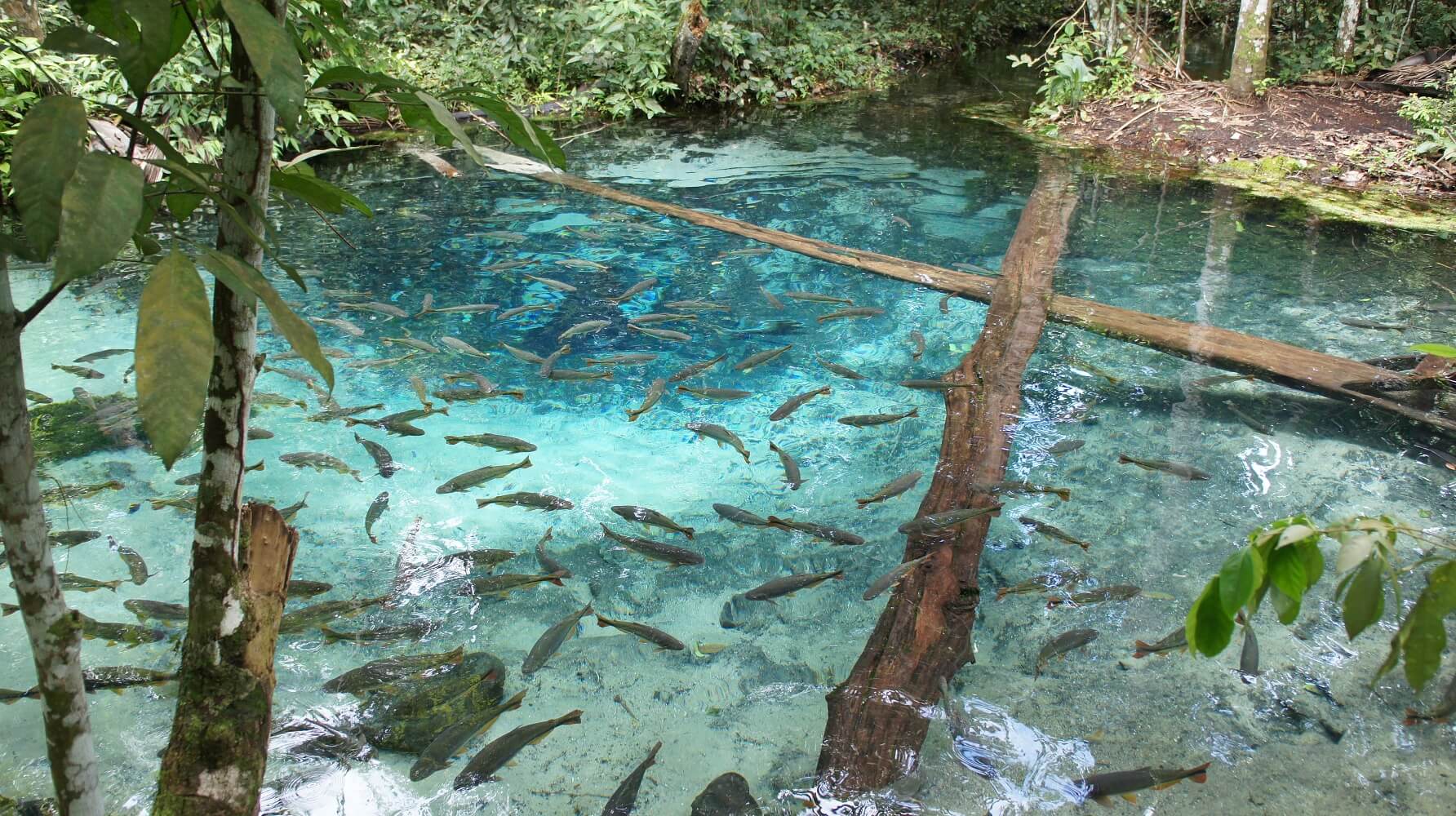 Índice de atividades turísticas cresce 19,8% em junho, aponta IBGE