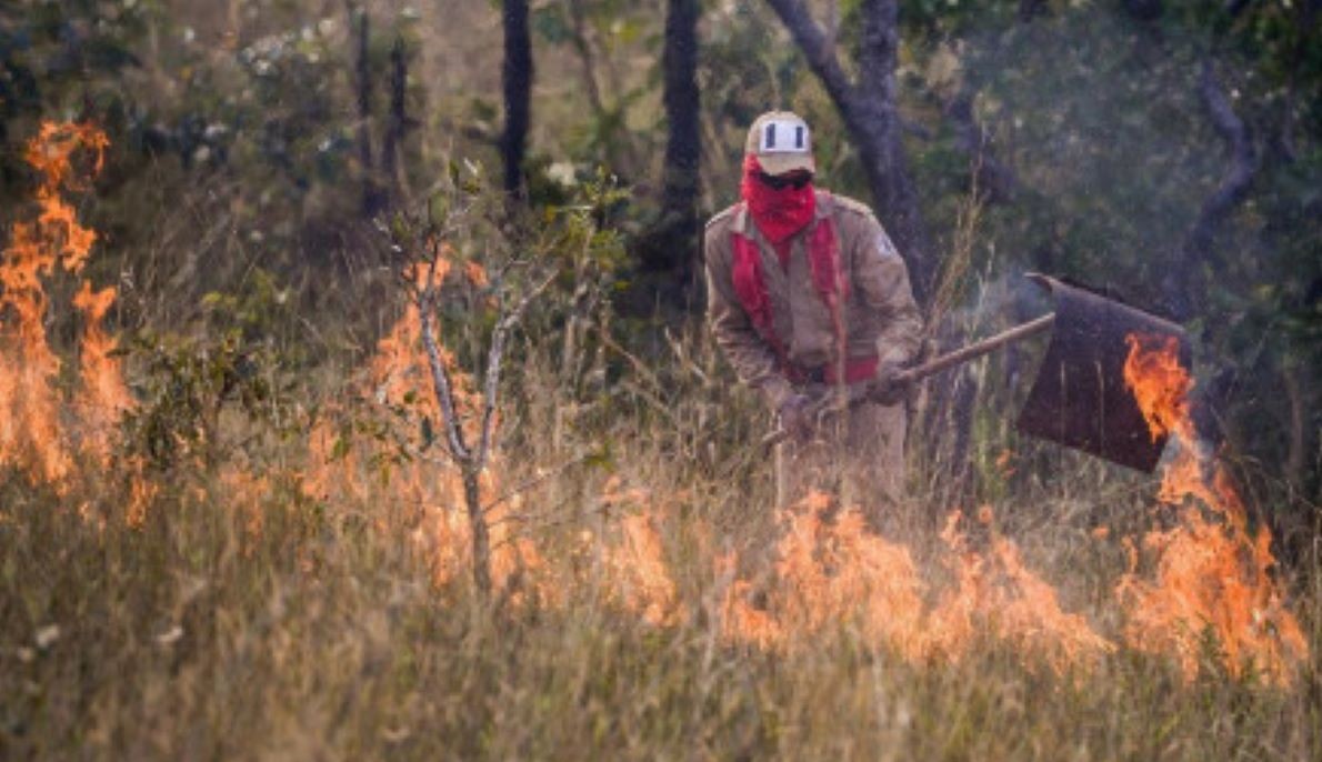 Cuiabá | Idoso é detido após provocar incêndio