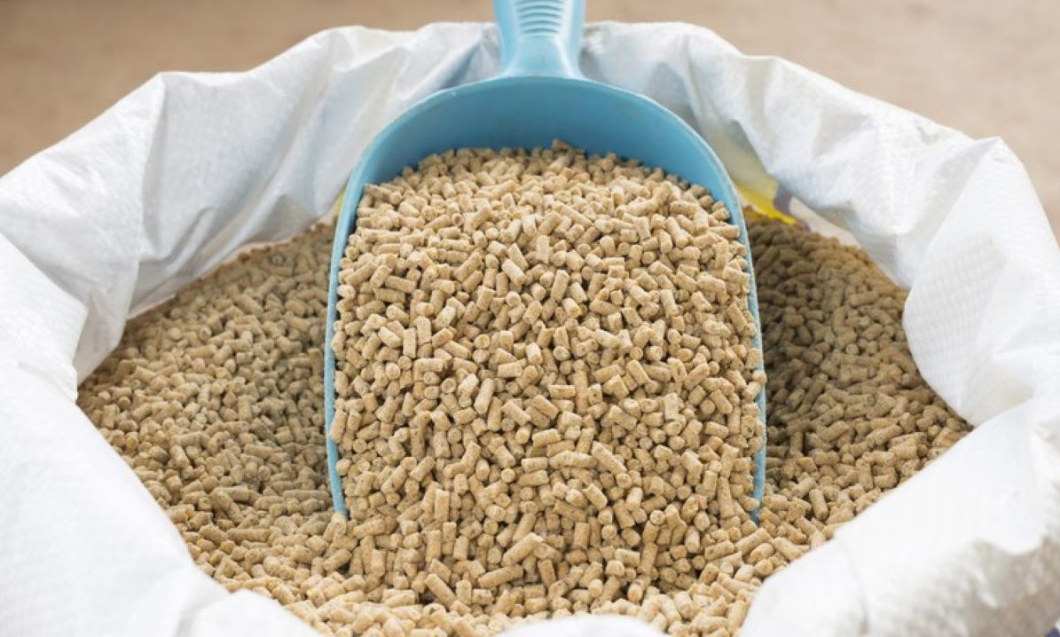 Certificados de estabelecimentos e produtos para alimentação animal passam a ser eletrônicos