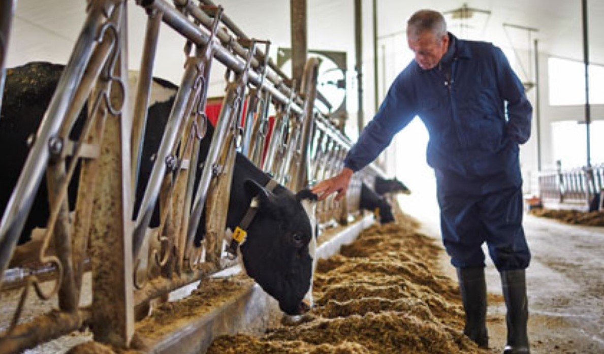 Cargill Nutrição Animal anuncia NutronMilk Fábricas como novo portfólio focado em fábricas de ração