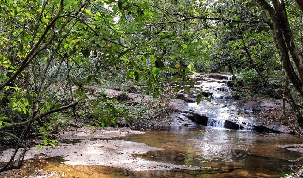 População conhece proposta para concessão do Parque Águas Quentes