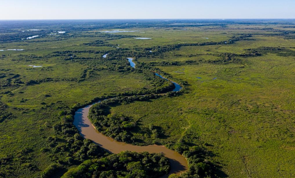 Empresários são parceiros do Governo no combate aos incêndios no Pantanal