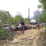 Equipes de fiscalização ambiental sofrem emboscadas em Colniza 6