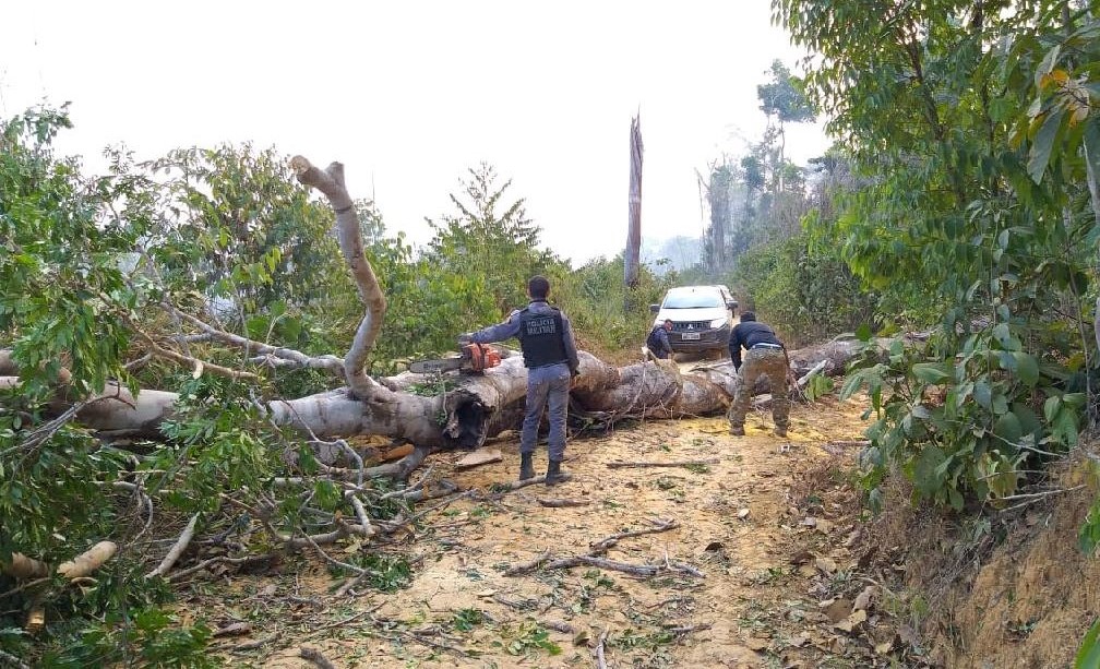 Equipes de fiscalização ambiental sofrem emboscadas em Colniza