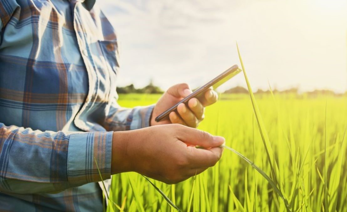 Plataforma digital oferece modelo inovador de gestão pecuária