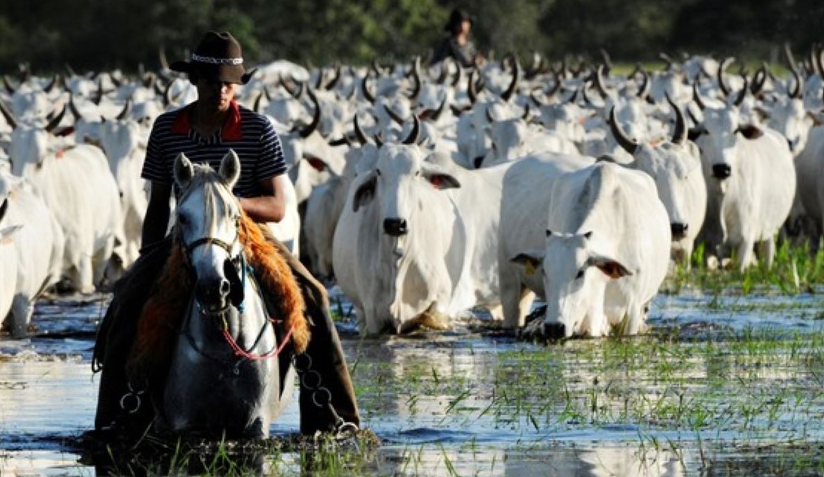 Acrimat entrega Carta do Pantanal ao ministro do Meio Ambiente