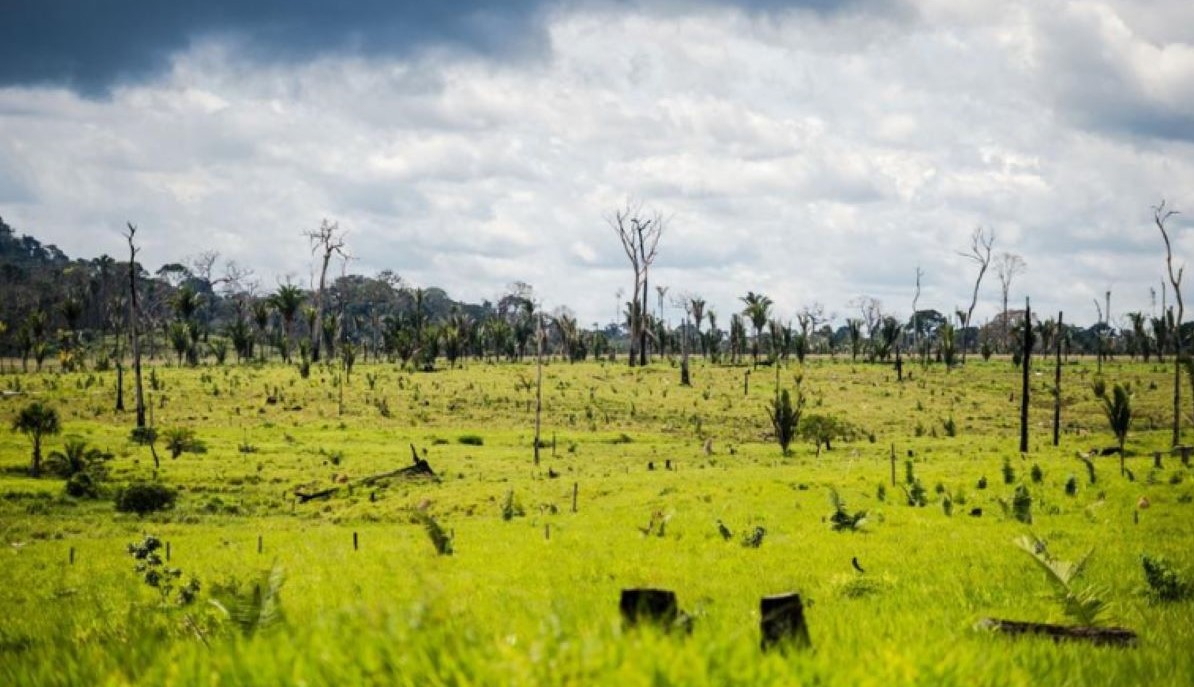 MPMT pede condenação de produtor rural ao pagamento de R$ 12 milhões por danos morais coletivos