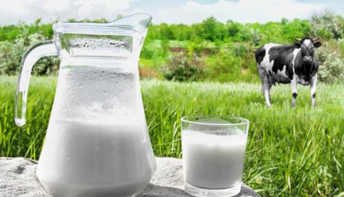 Publicado regulamento técnico de identidade e qualidade do soro de leite e soro ácido