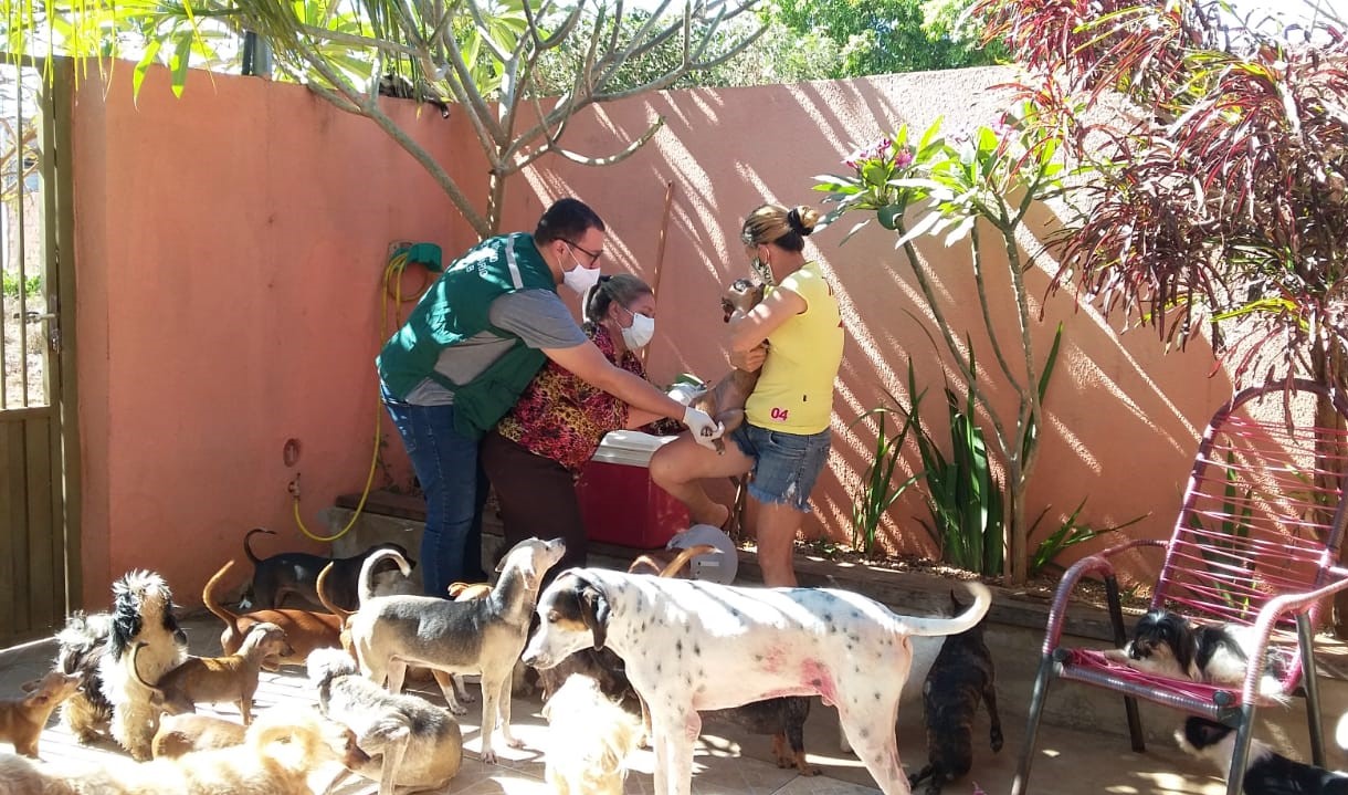 Rondonópolis | Prefeitura inicia vacinação de cães e gatos na UVZ
