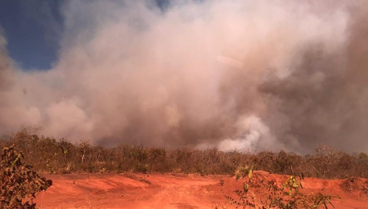 Indígena emite nota para esclarecer que incêndio não foi ocasionado pela Aldeia Tadarimana