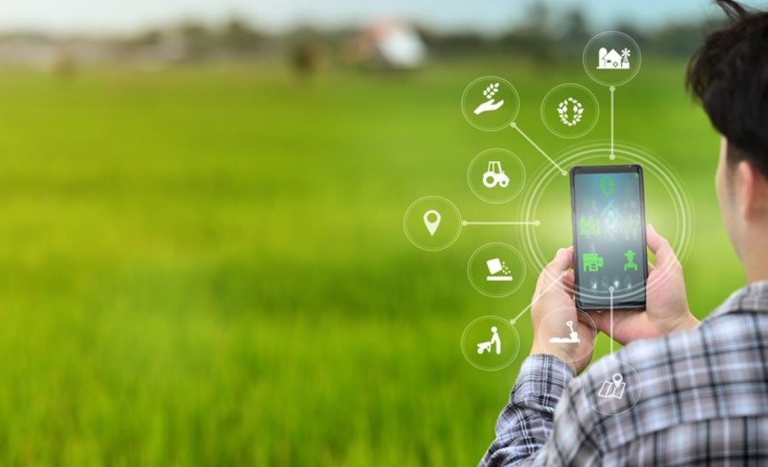 Programa levará tecnologias 4.0 para o agronegócio