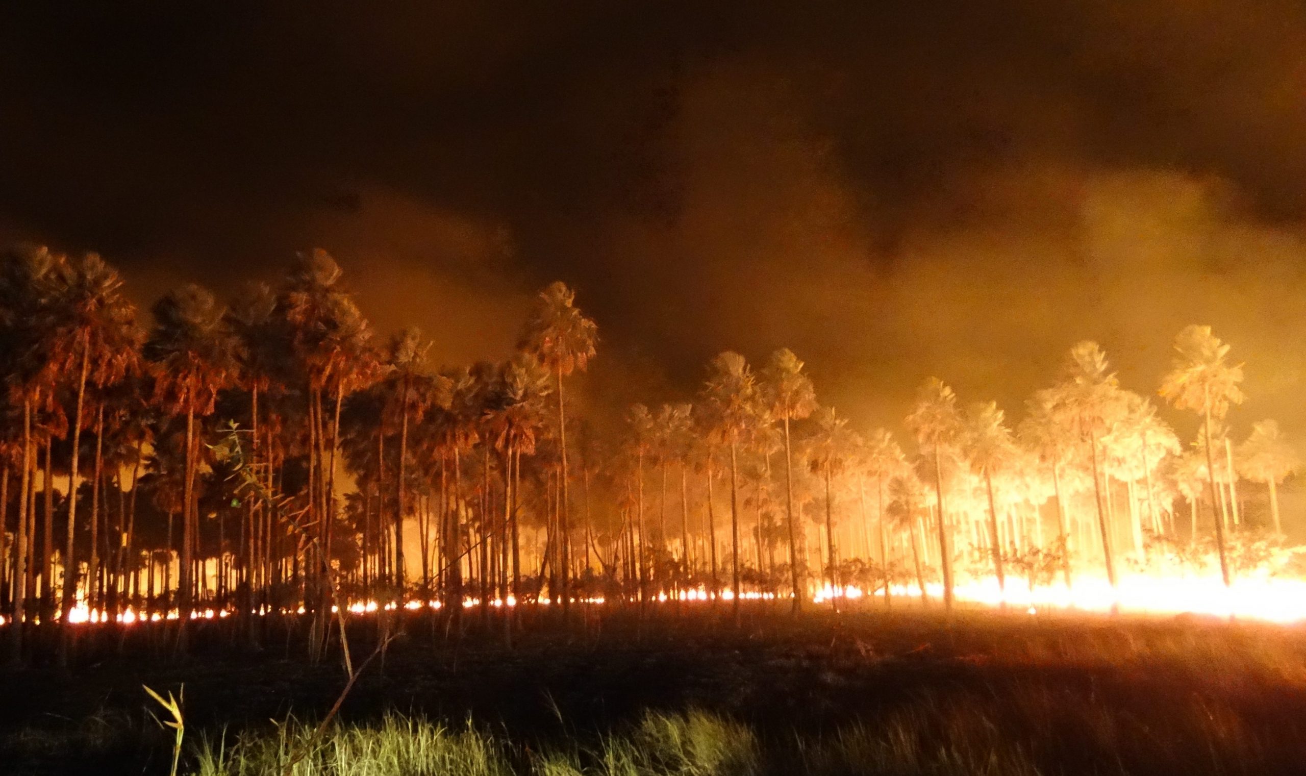 Pantanal continua pegando fogo