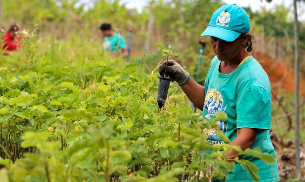 Mapa vai apoiar seguro paramétrico como opção para o produtor rural proteger suas atividades