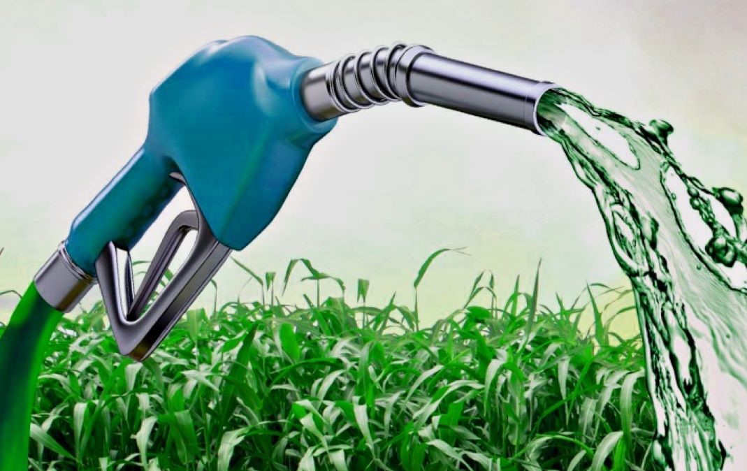 BNDES financia projeto de produção sustentável de biocombustível no Mato Grosso do Sul