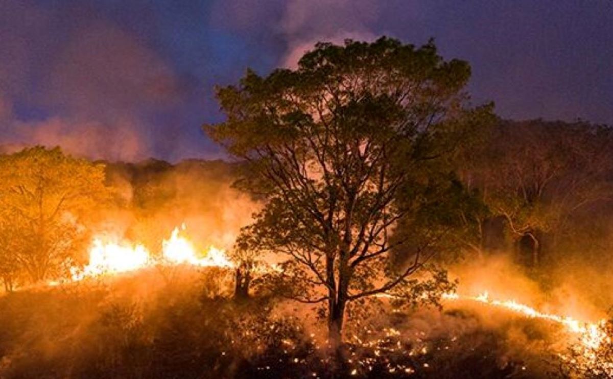 Inverno amazônico é única esperança para conter queimadas