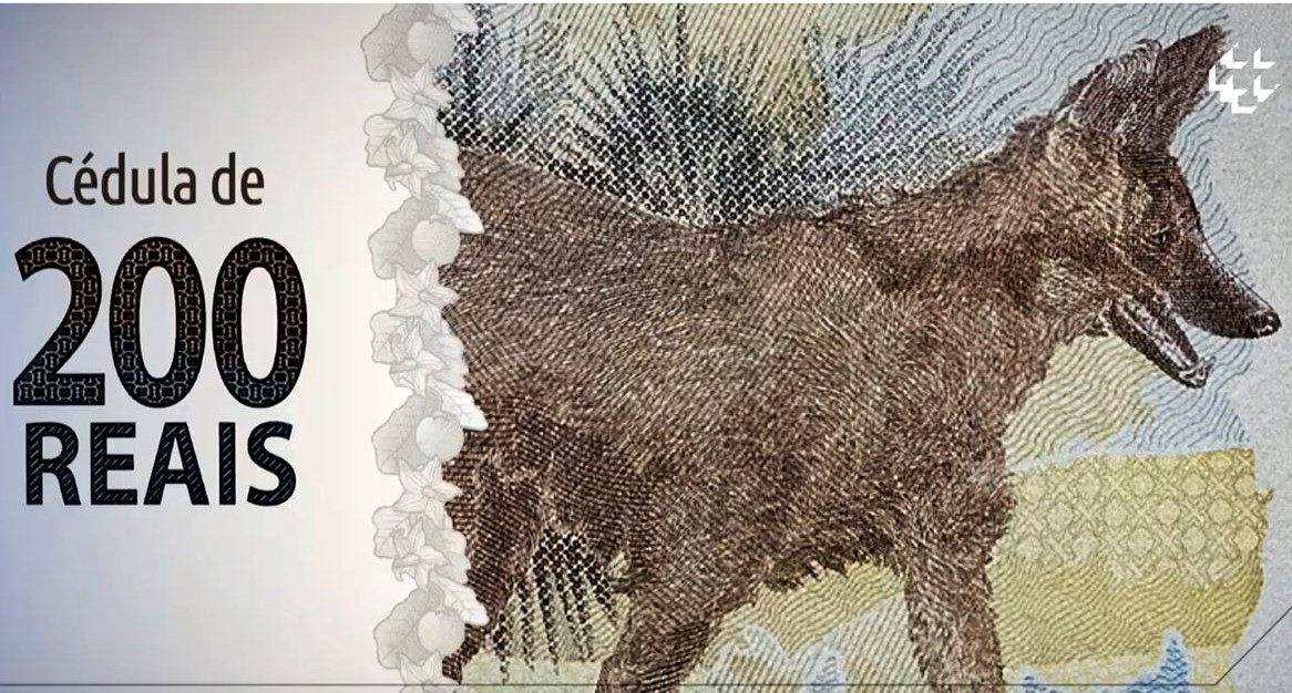 Nota de R$ 200 entra em circulação nesta quarta-feira