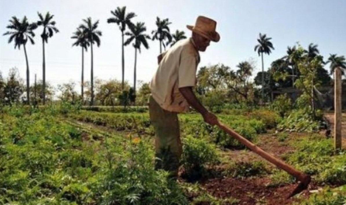 Governo Federal entrega títulos definitivos de terra para 1.665 famílias em Mato Grosso