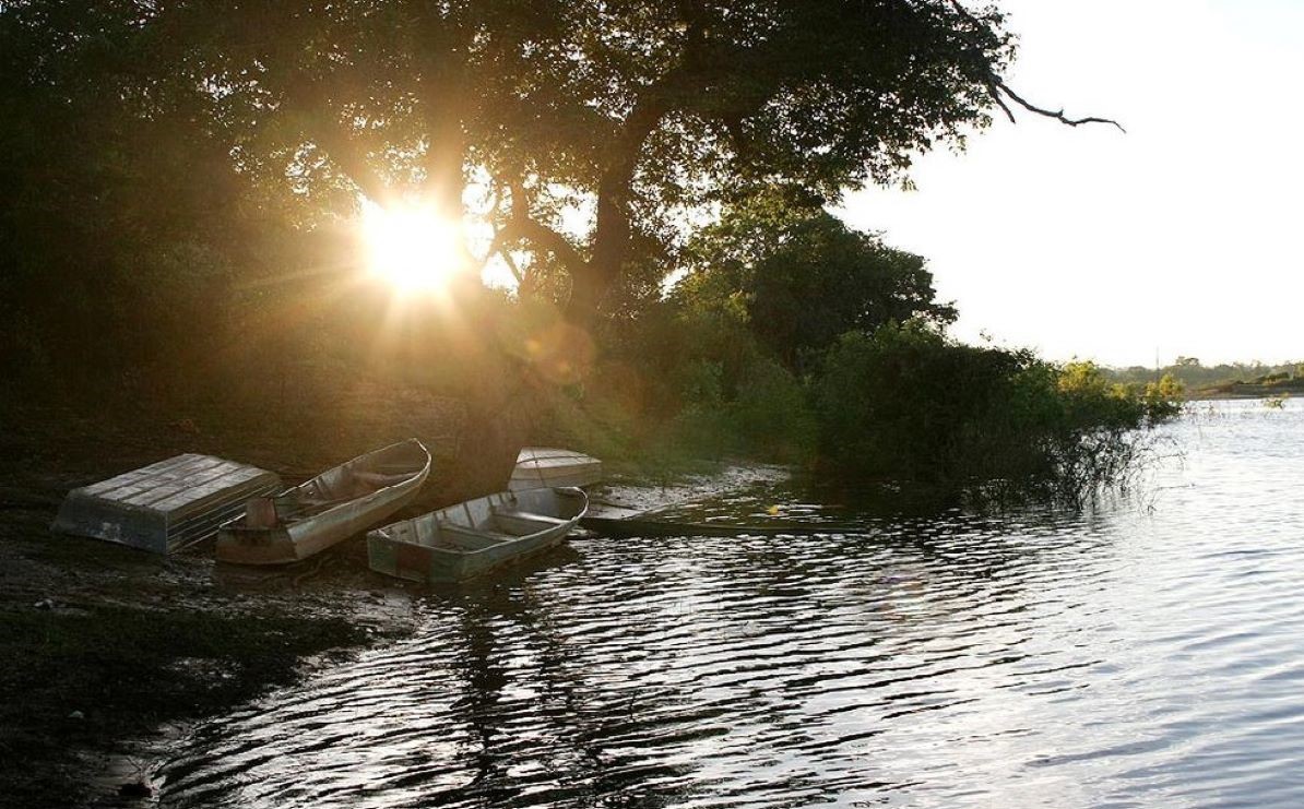 Mato Grosso | Piracema começa nesta quinta-feira e comerciantes têm 1 dia para declarar estoque