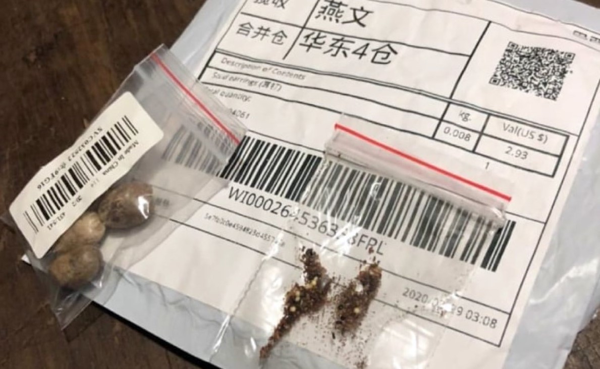 FAESC alerta produtores sobre sementes recebidas da China