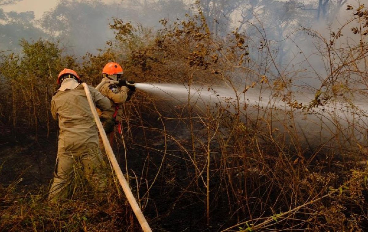 DECRETO DE CALAMIDADE | Governo de Mato Grosso dobra estrutura para combater incêndios florestais