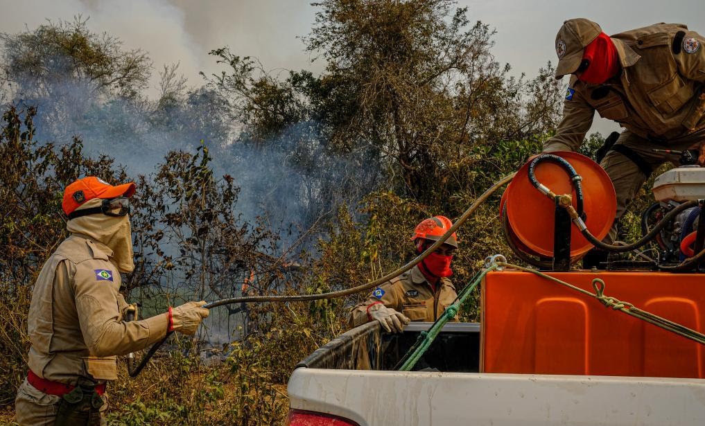Focos de incêndio no Pantanal mato-grossense reduzem em 80%; Governo continua com operação na região