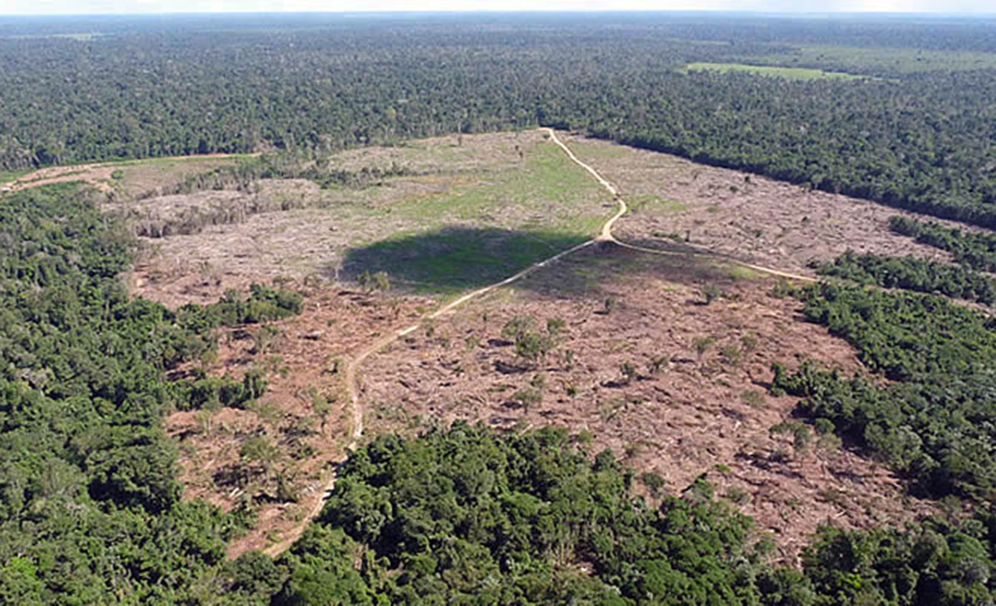 Justiça decreta indisponibilidade de fazendas no Pantanal
