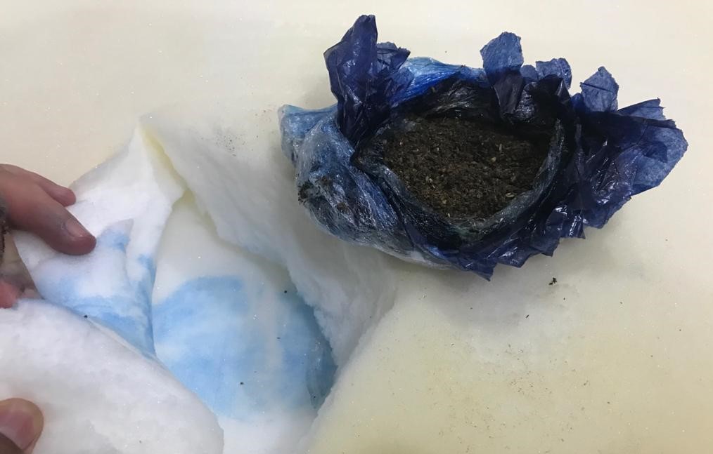 Cão fareja droga em roupa de cama e impede entrada na Mata Grande
