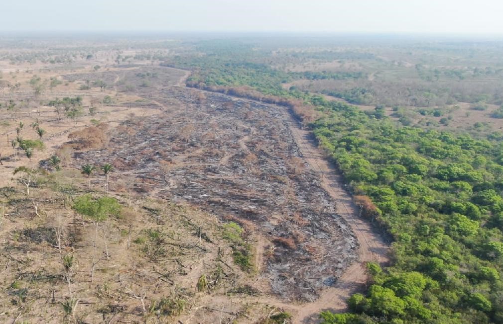 Operação Resiliência Pantanal apreende 5 tratores usados em desmatamento e evita queimadas