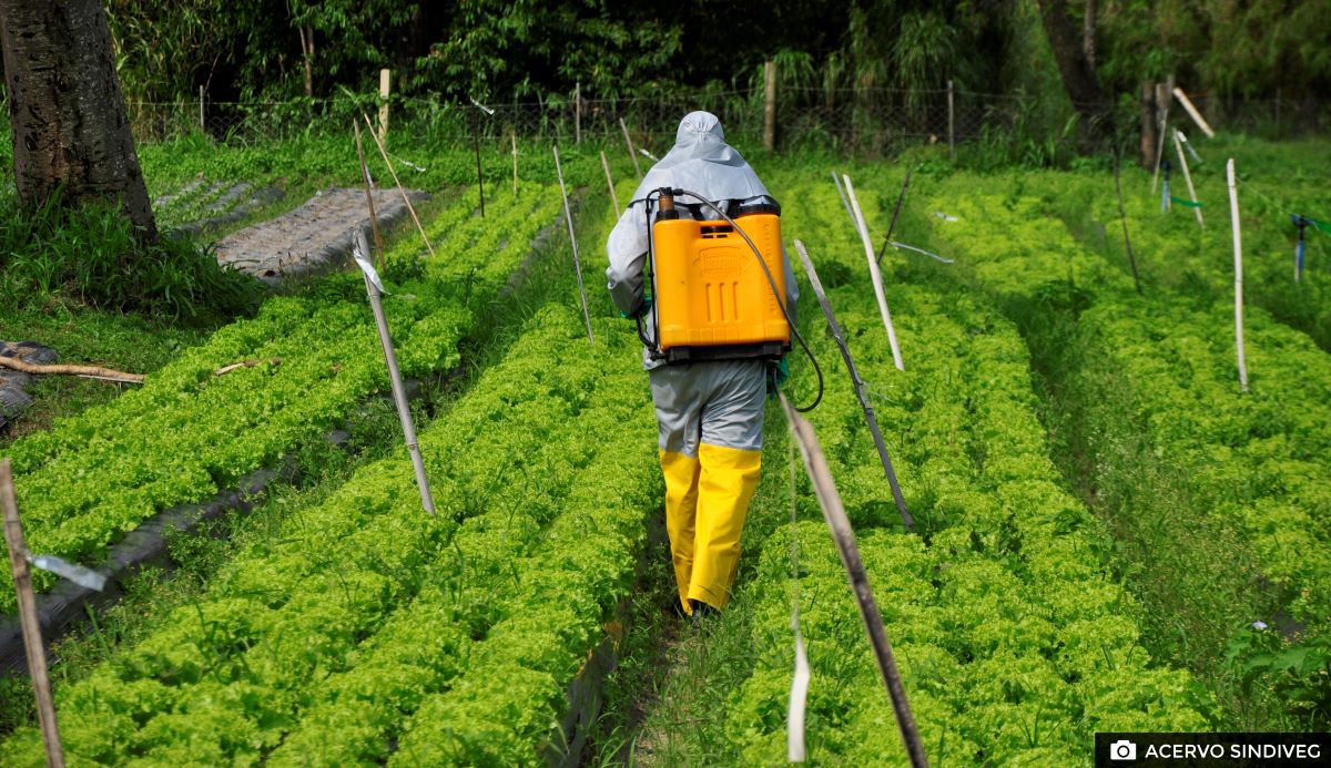 Sindiveg lança manual inédito sobre segurança na aplicação de defensivos agrícolas