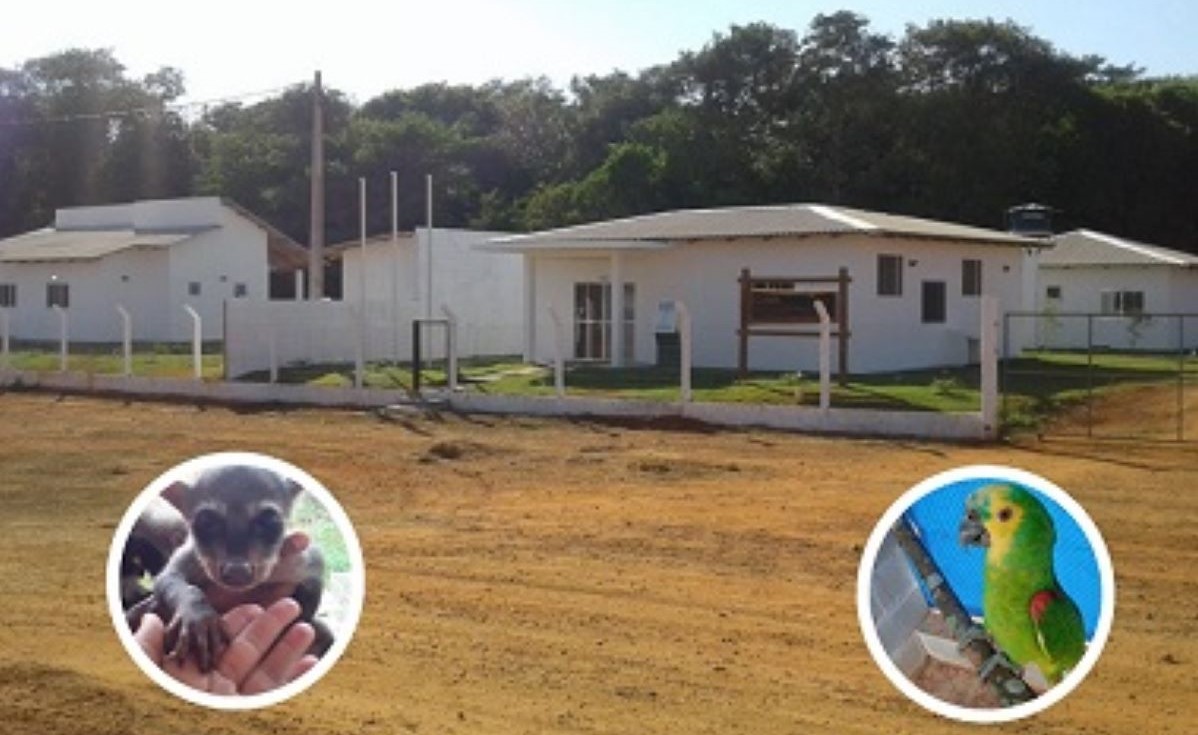 MPMT destaca integração das instituições e comemora viabilização de Cetras