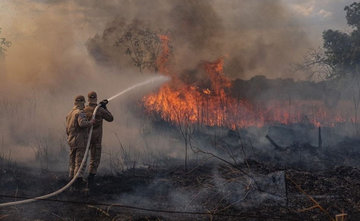 Debatedores defendem desenvolvimento sustentável para o Pantanal