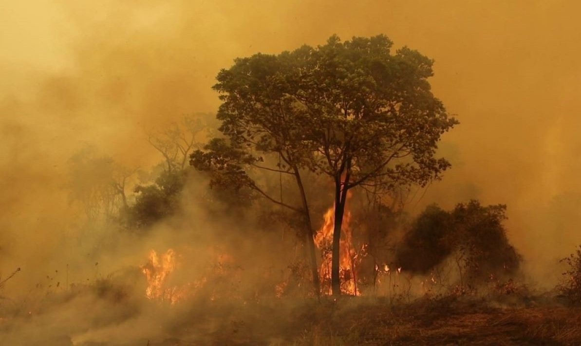 Incêndios no Pantanal continuam avançando e área destruída passa de 2,1 milhões de hectares