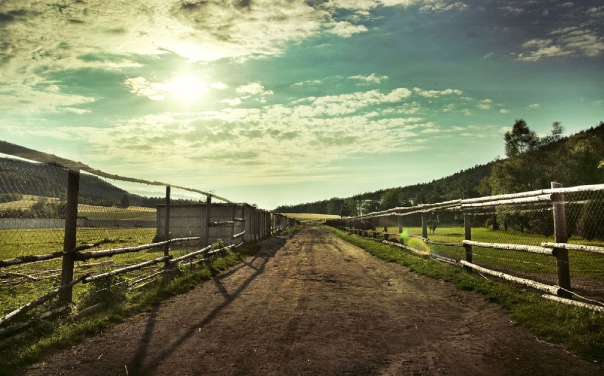 Empresa rural é condenada por não fiscalizar empreiteiros que realizavam serviços e submetiam trabalhadores a condições degradantes