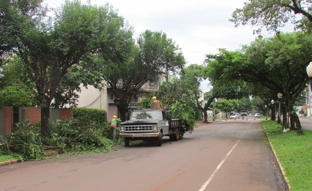 Semma abre inscrições gratuitas para curso de poda e arborização urbana