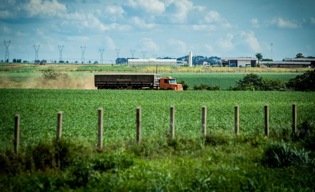 Concessão de rodovias vai melhorar escoamento da produção agrícola de MT