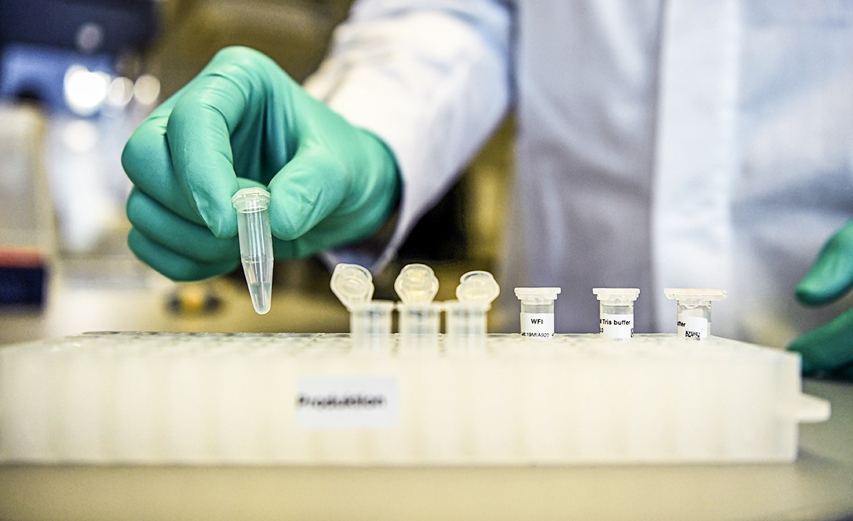COVID-19 | Cientistas do Reino Unido começam a testar terapia com anticorpos