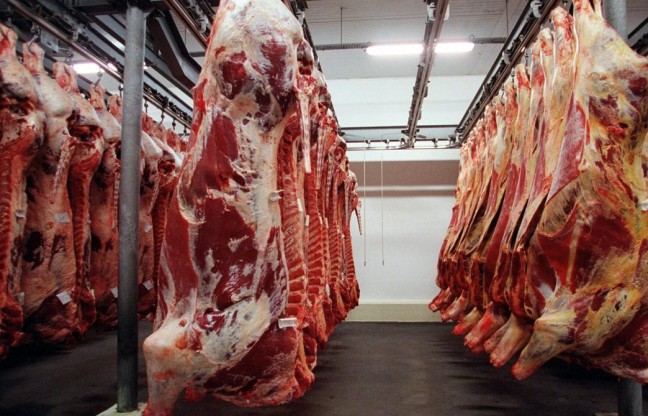 Abate precoce de bovinos aumenta 800% em 14 anos em Mato Grosso