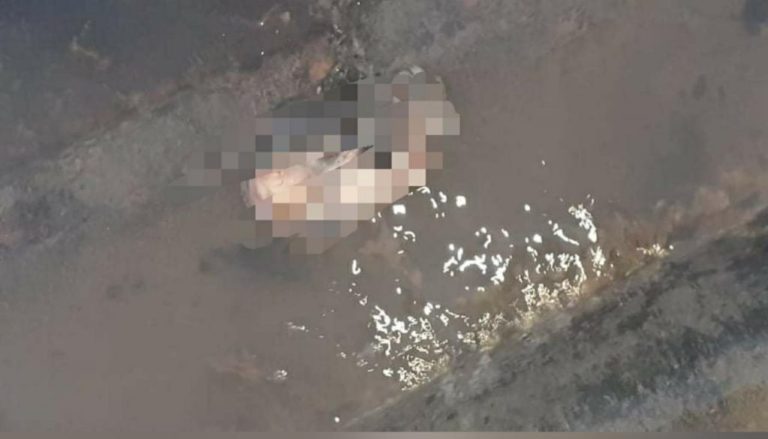Rondonópolis | Feto é encontrado no meio da rua por moradores