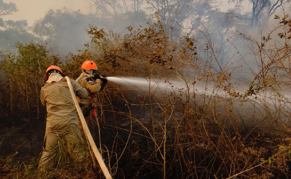 INCÊNDIOS FLORESTAIS | Ministério Público apresenta à Sema proposta de TAC sobre Pantanal