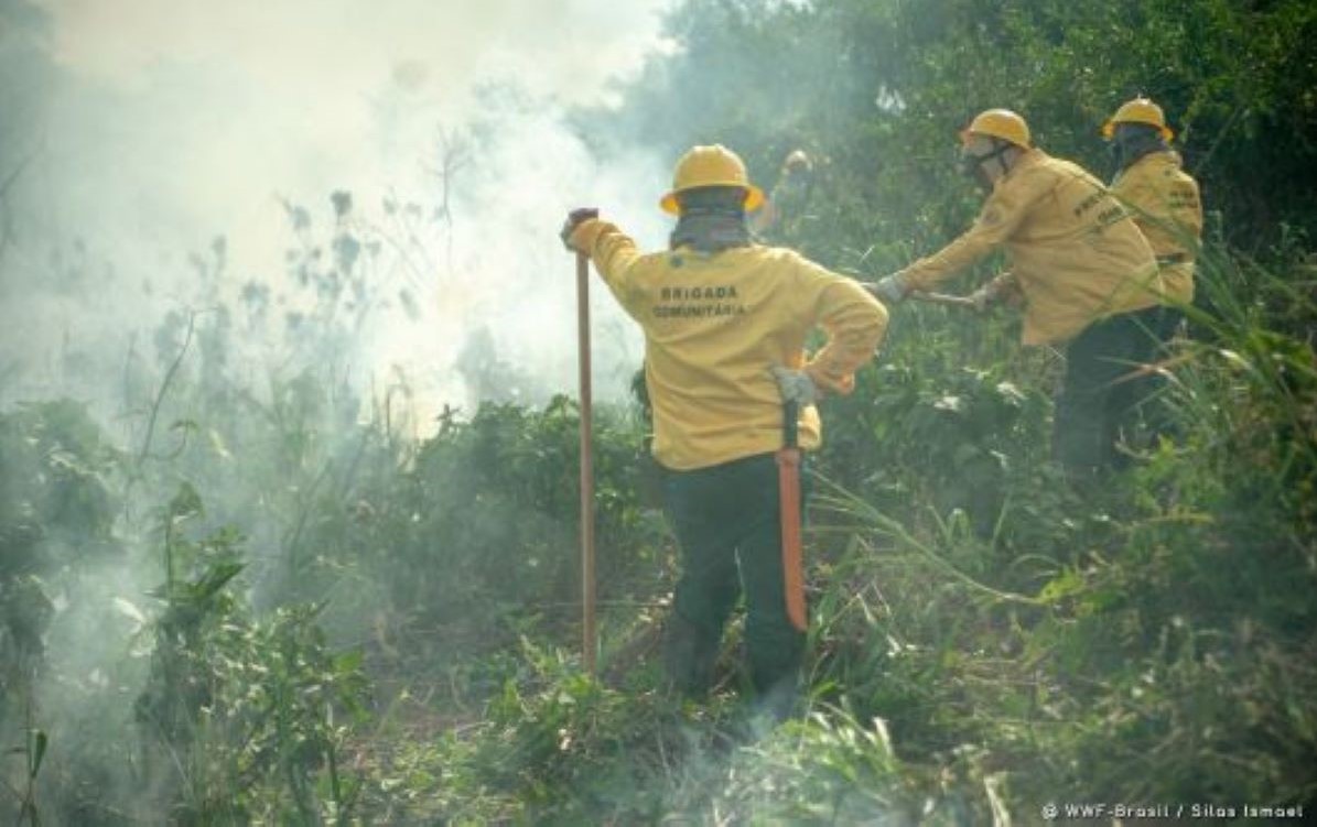 Pantanal ganha nova brigada para combate às queimadas