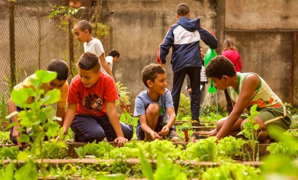 Campanha da Microcamp em prol da ONG Aldeias Infantis é prorrogada até dia 31