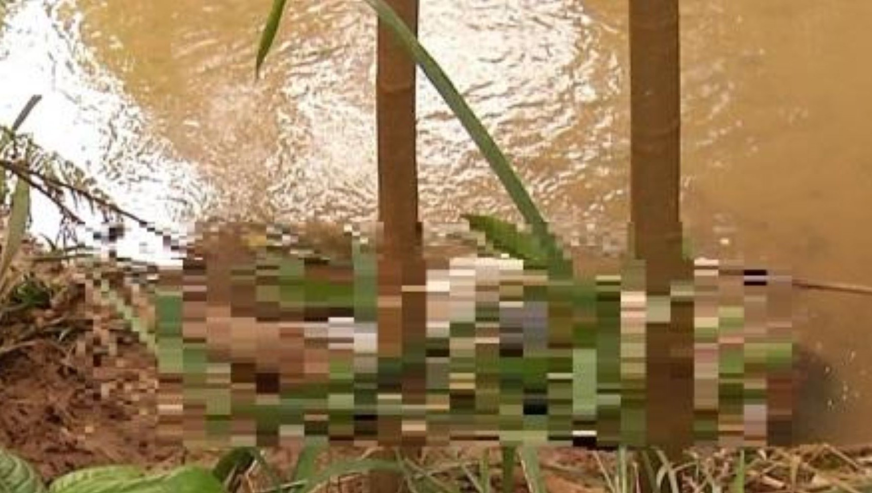 Rondonópolis | Homem é executado com três tiros na cabeça e corpo é jogado em rio