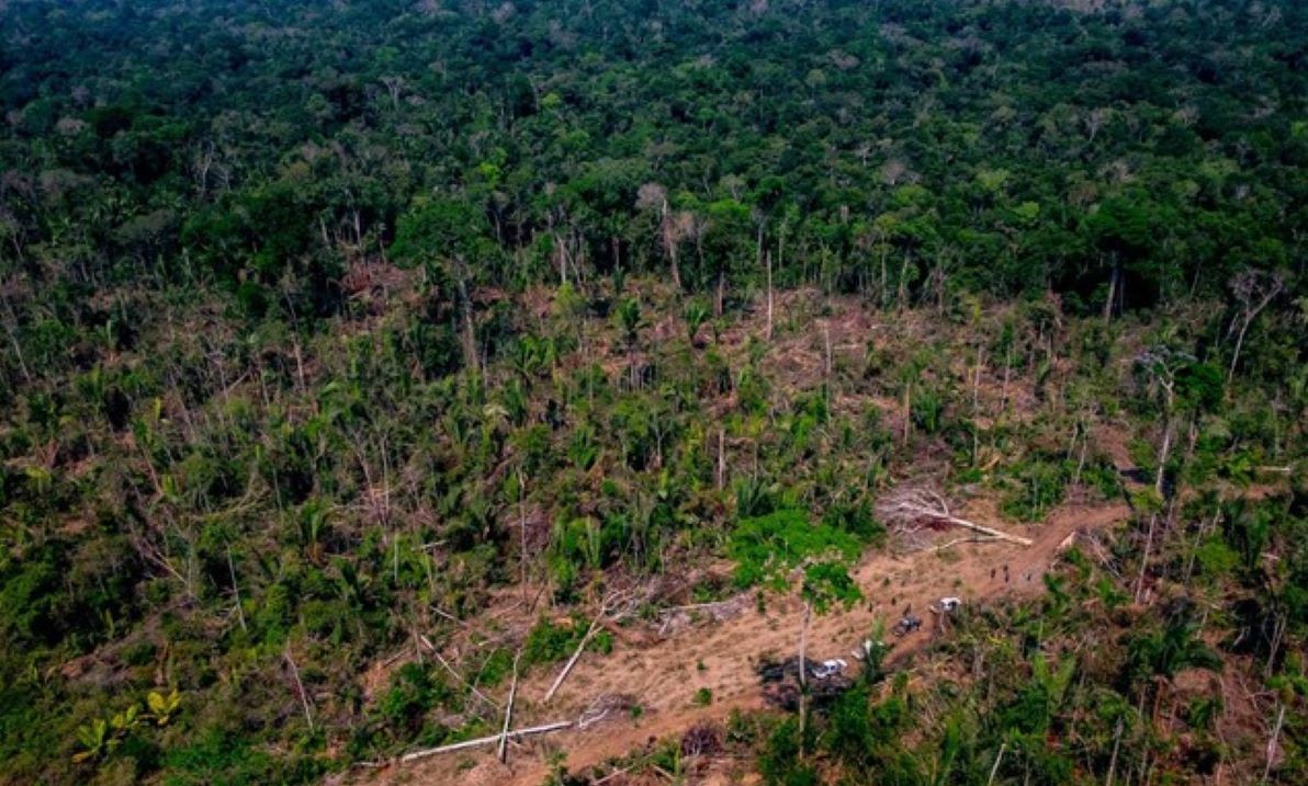 Mato Grosso | Justiça Federal bloqueia quase R$ 29 milhões em bens de fazendeiro que desmatou mais de 1,2 mil hectares