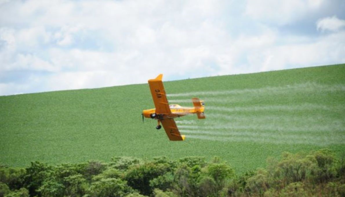 Sorriso | Avião cai em fazenda durante passagem de veneno e piloto fica ferida
