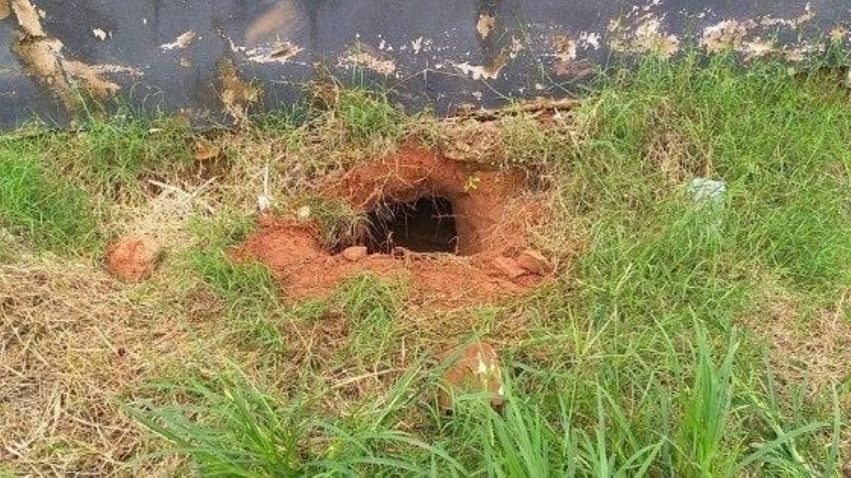 Nova Mutum | Doze detentos cavam túnel e fogem da cadeia